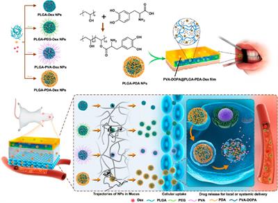 Commercial hydrogel product for drug delivery based on route of administration